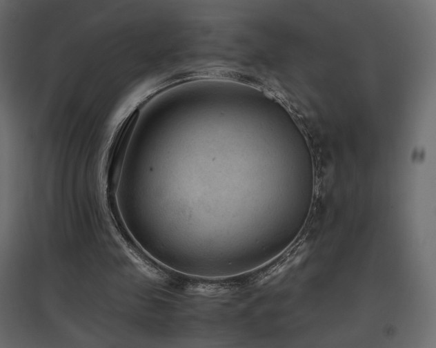 X0000097760341200803071300