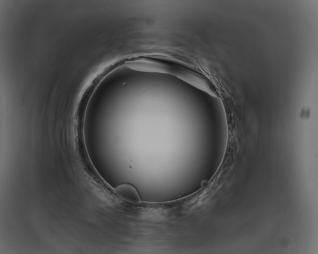 X0000097760342200803071300