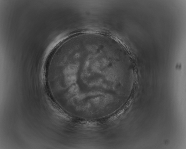 X0000097760343200803071300