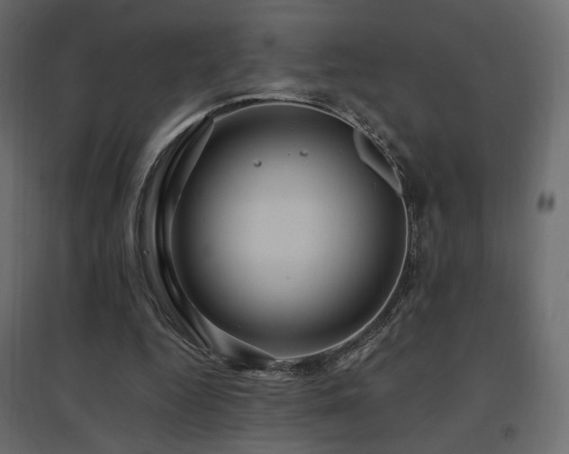 X0000097760344200803071300