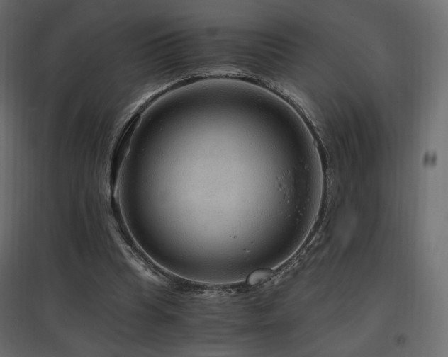 X0000097760345200803071300