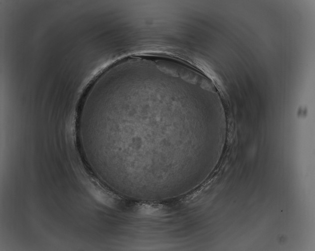 X0000097760346200803071300