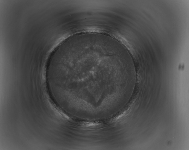 X0000097760347200803071300