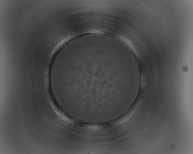 X0000097760349200803071300