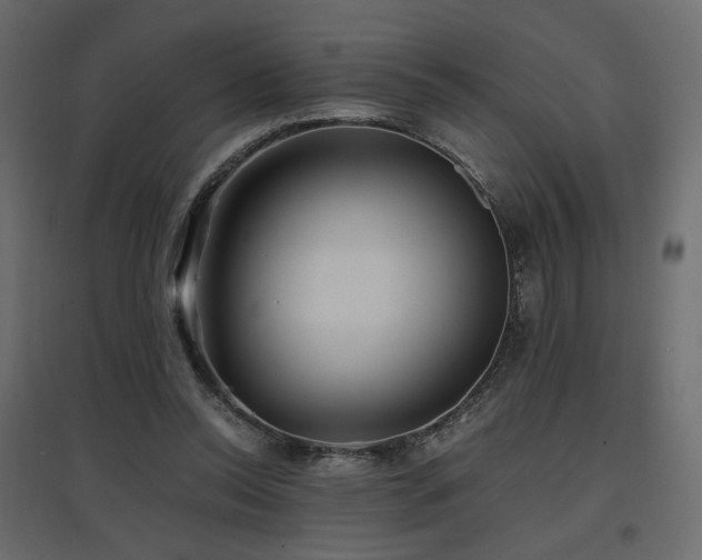 X0000097760350200803071300