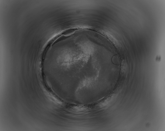 X0000097760351200803071300