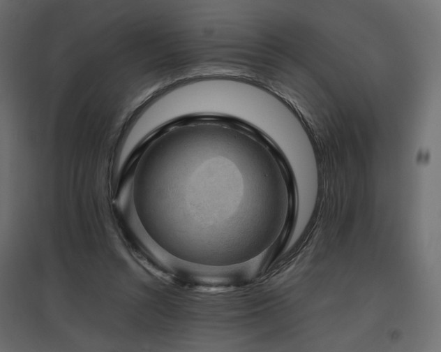 X0000097760352200803071300