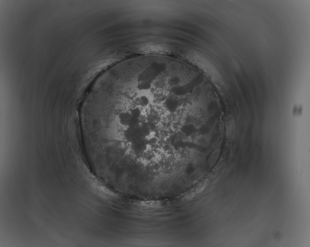 X0000097760353200803071300