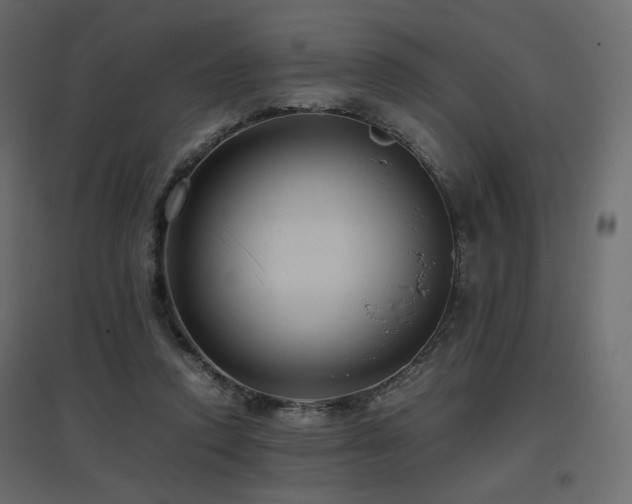 X0000097760354200803071300