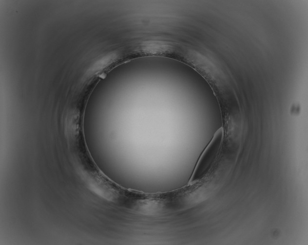 X0000097760356200803071300