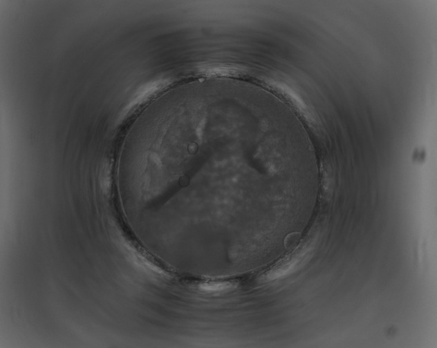 X0000097760357200803071300