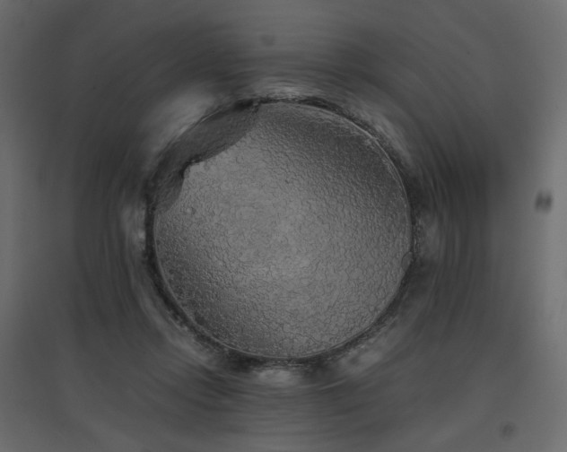 X0000097760358200803071300