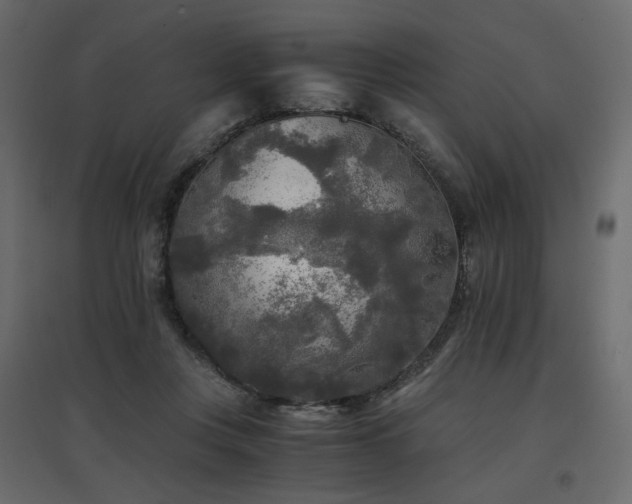 X0000097760359200803071300