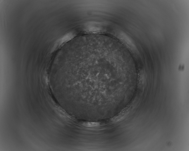 X0000097760361200803071300