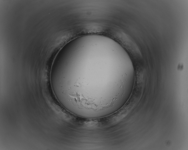 X0000097760362200803071300