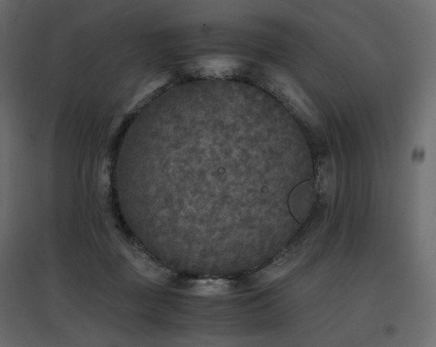 X0000097760363200803071300