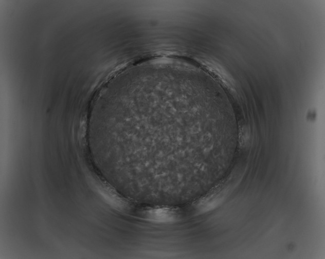 X0000097760365200803071300