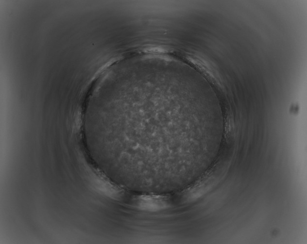 X0000097760367200803071300