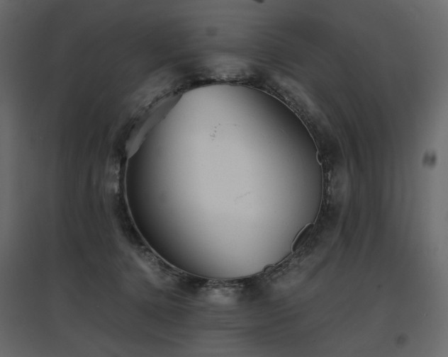 X0000097760368200803071300