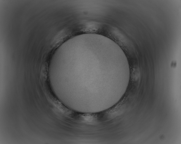 X0000097760370200803071300