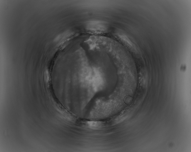 X0000097760371200803071300