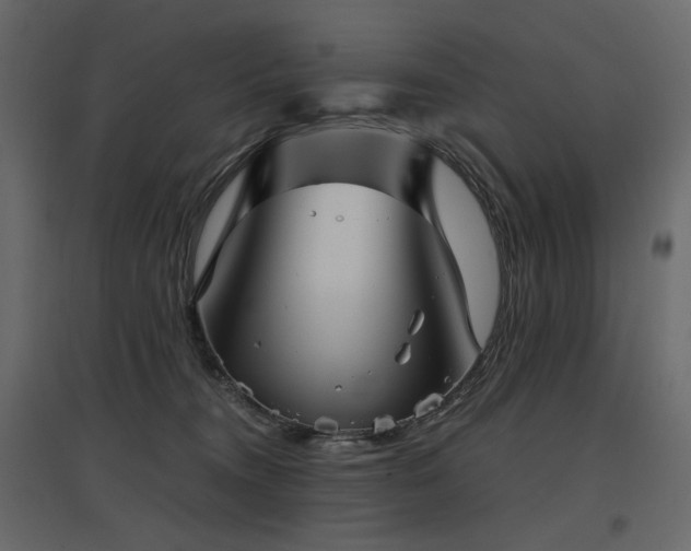 X0000097760372200803071300