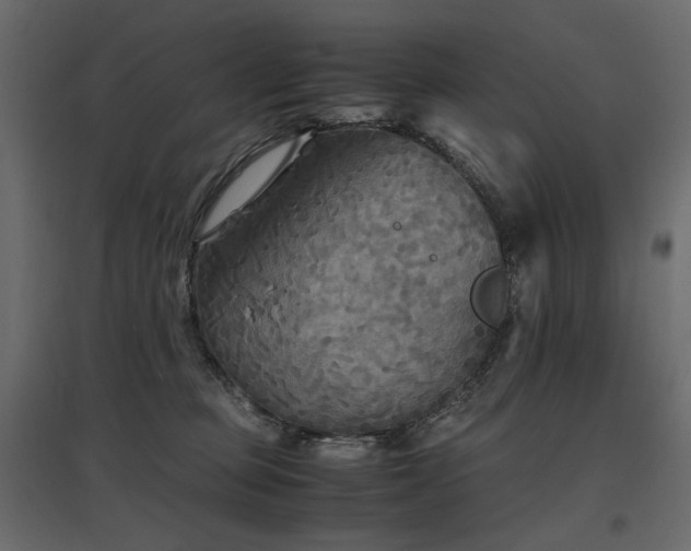 X0000097760373200803071300