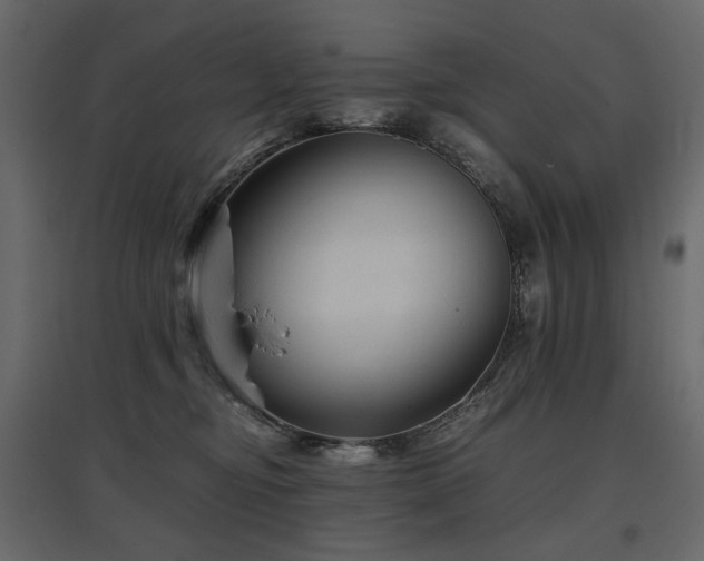 X0000097760374200803071300