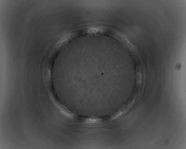 X0000097760375200803071300