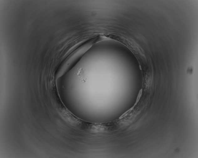 X0000097760376200803071300