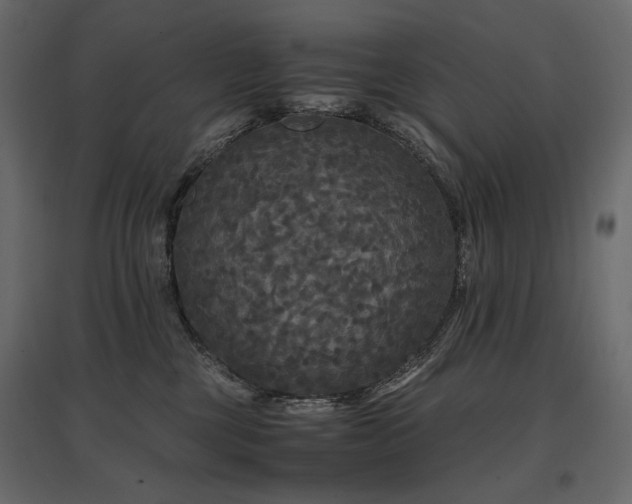 X0000097760377200803071300