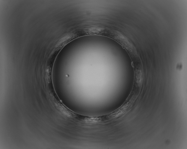 X0000097760378200803071300