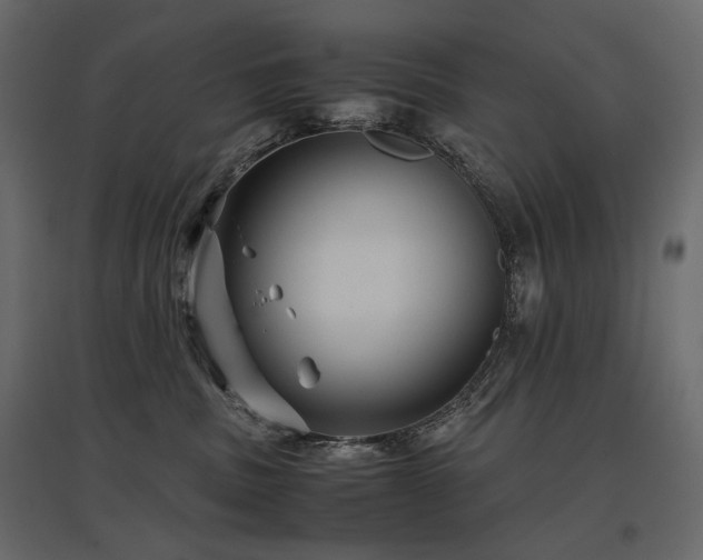 X0000097760379200803071300