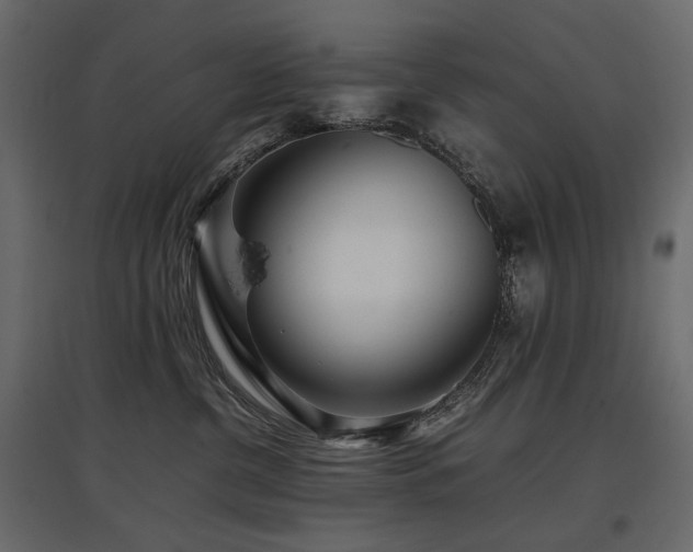 X0000097760380200803071300