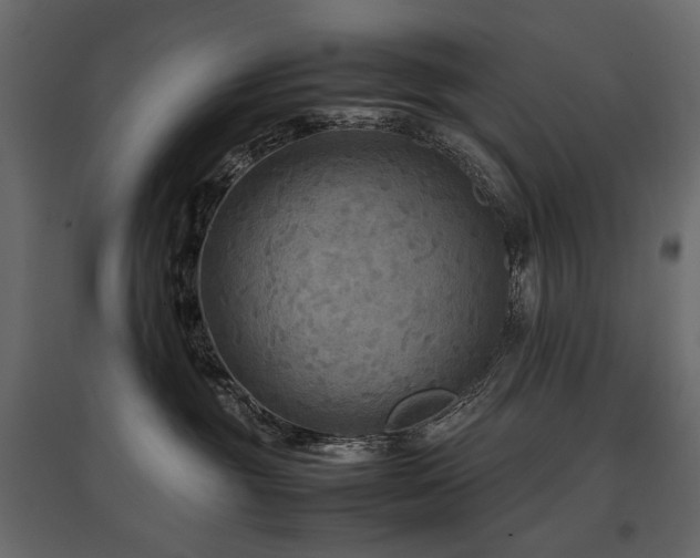 X0000097760381200803071300