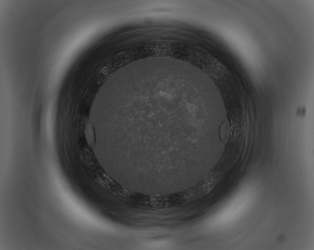 X0000097760383200803071300