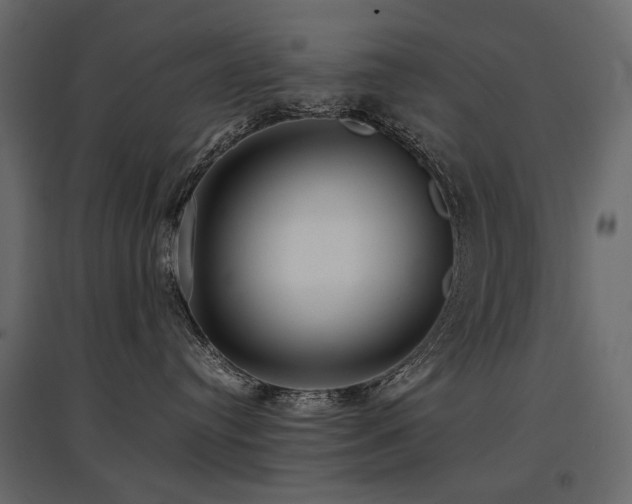 X0000097760384200803071300