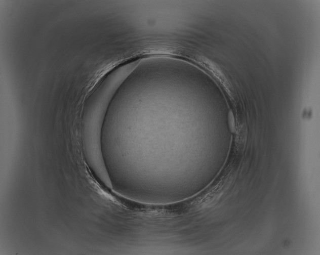 X0000097760385200803071300