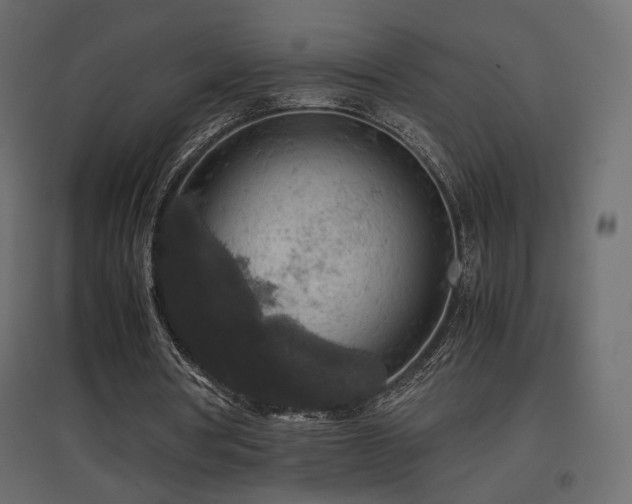 X0000097760386200803071300