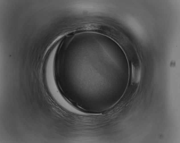 X0000097760387200803071300