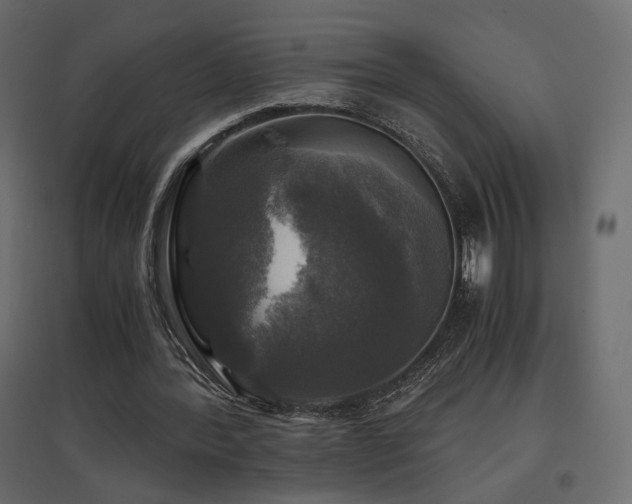 X0000097760388200803071300