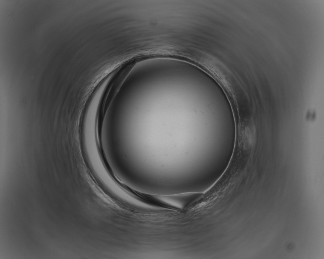 X0000097760389200803071300