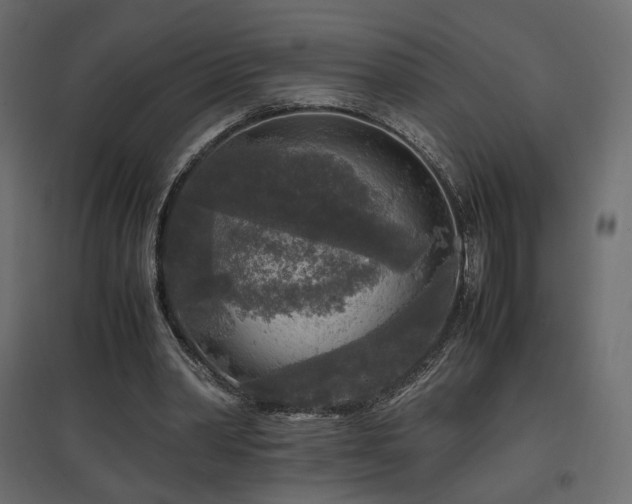 X0000097760390200803071300