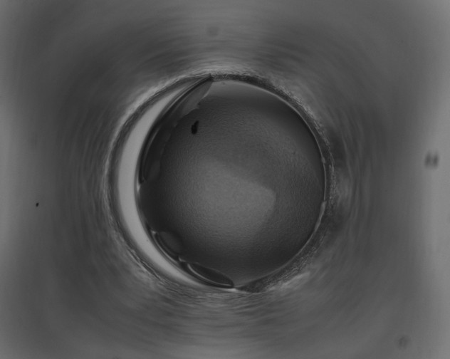 X0000097760391200803071300