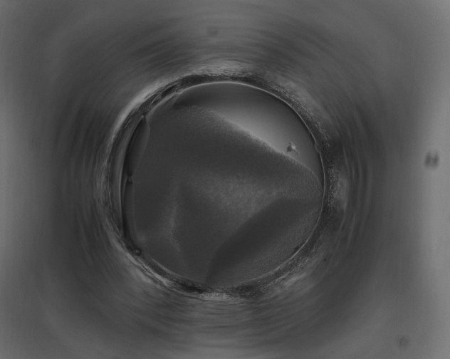 X0000097760392200803071300