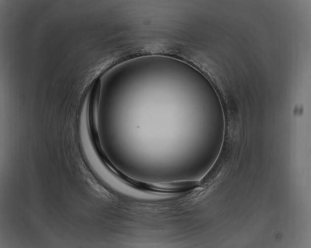 X0000097760393200803071300