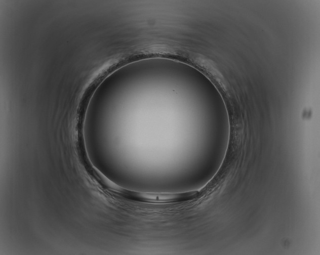 X0000097760395200803071300