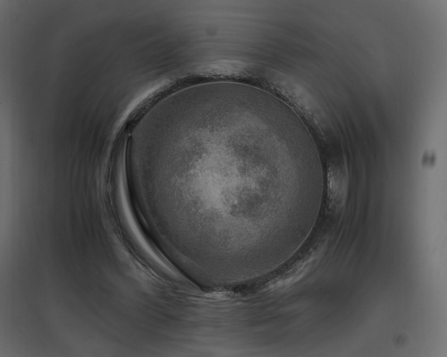 X0000097760396200803071259