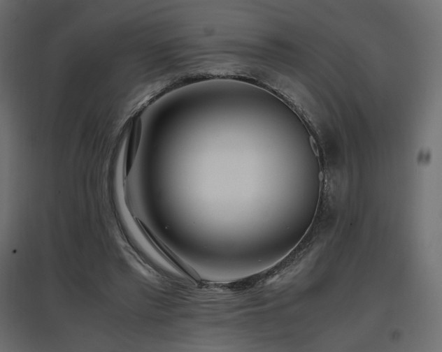 X0000097760397200803071259