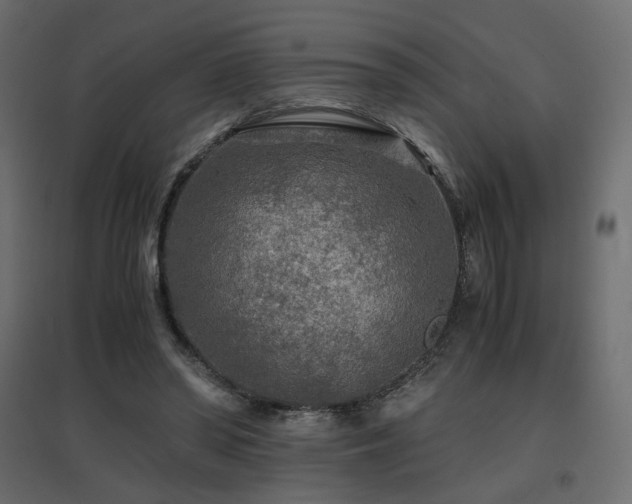 X0000097760398200803071259